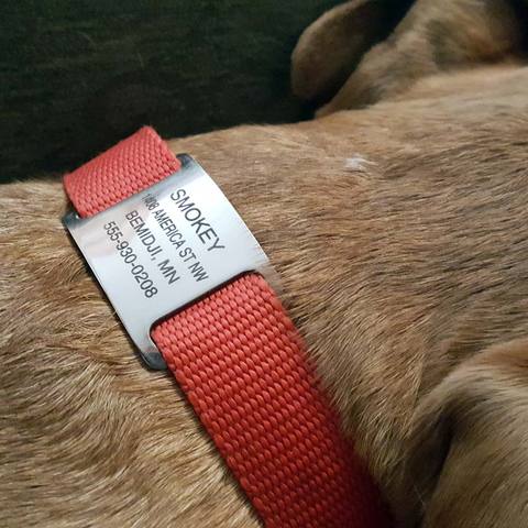 Personalized Slide on Dog Tag